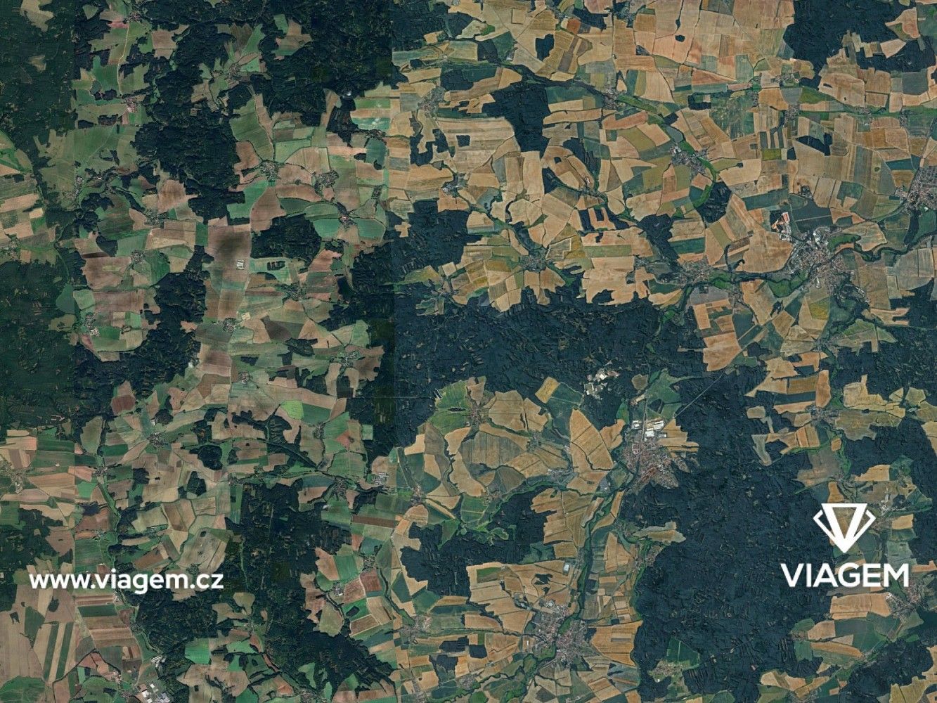 Les · Všekary, okres Plzeň-jih, Plzeňský kraj - 3