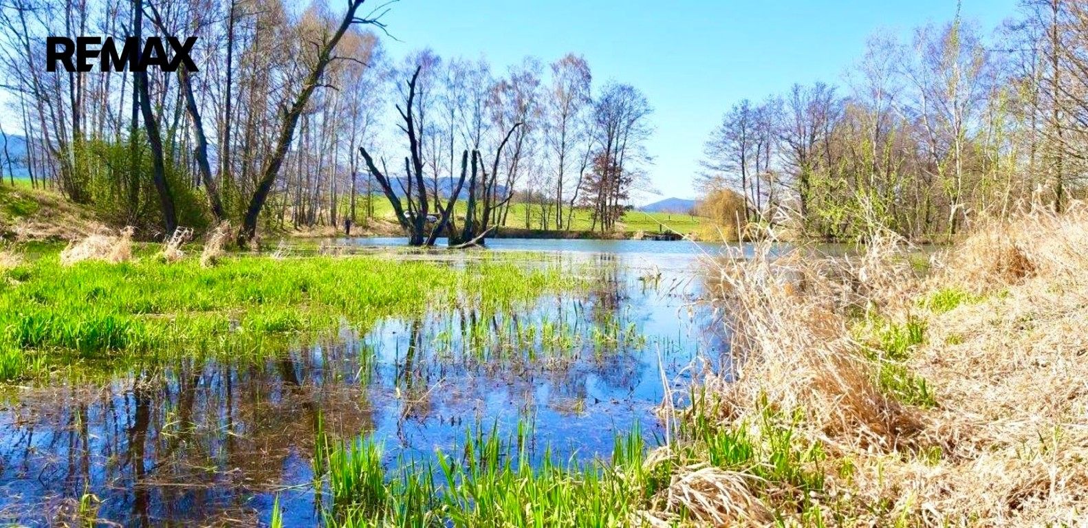 Rybníky, Bílý Kostel nad Nisou, 8 558 m² - 2