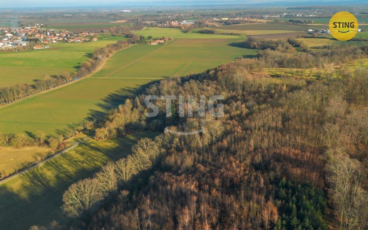 Prodej pozemek pro bydlení - Topol, Chrudim, 2 696 m²