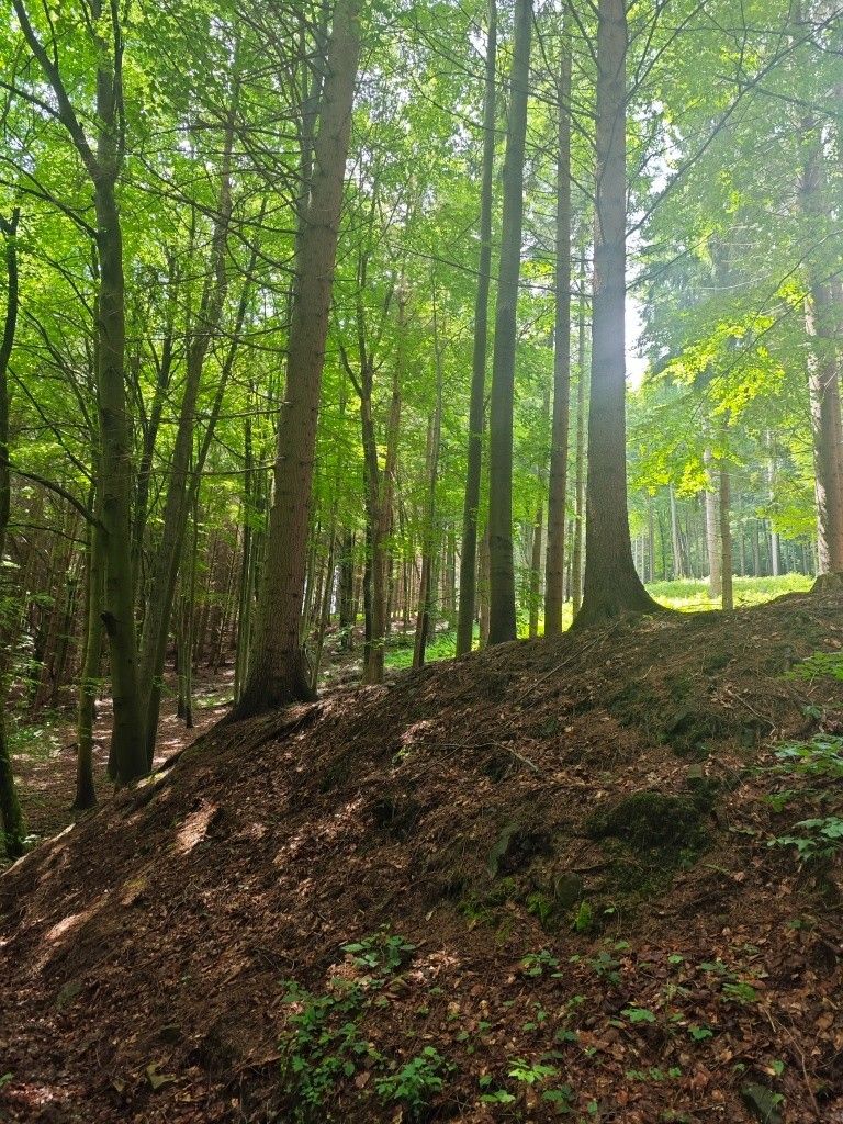 Pozemky pro bydlení, Hovězí, 756 01