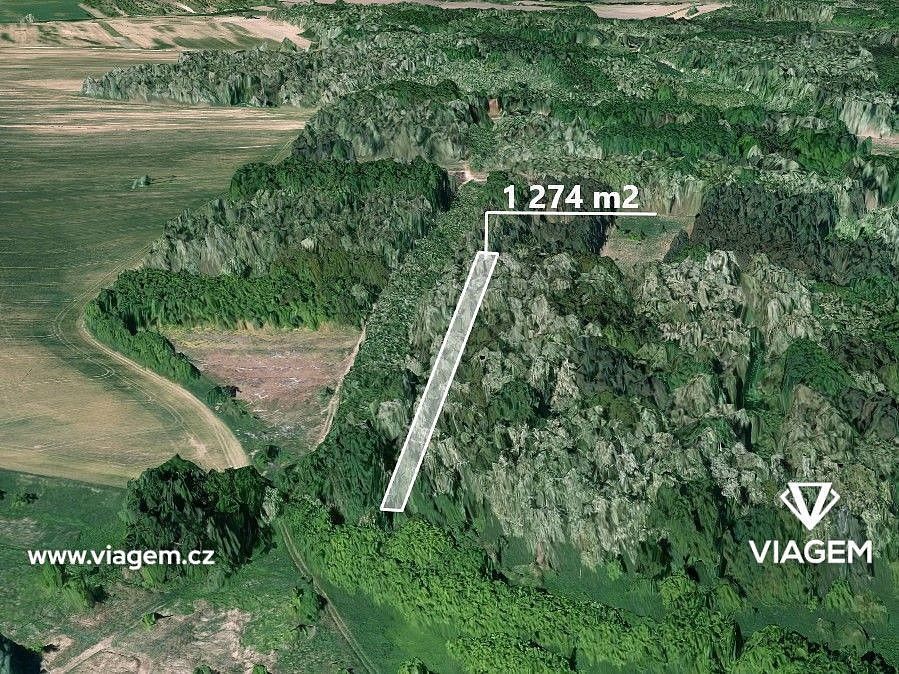Lesy, Hovorany, okres Hodonín, Jihomoravský kraj