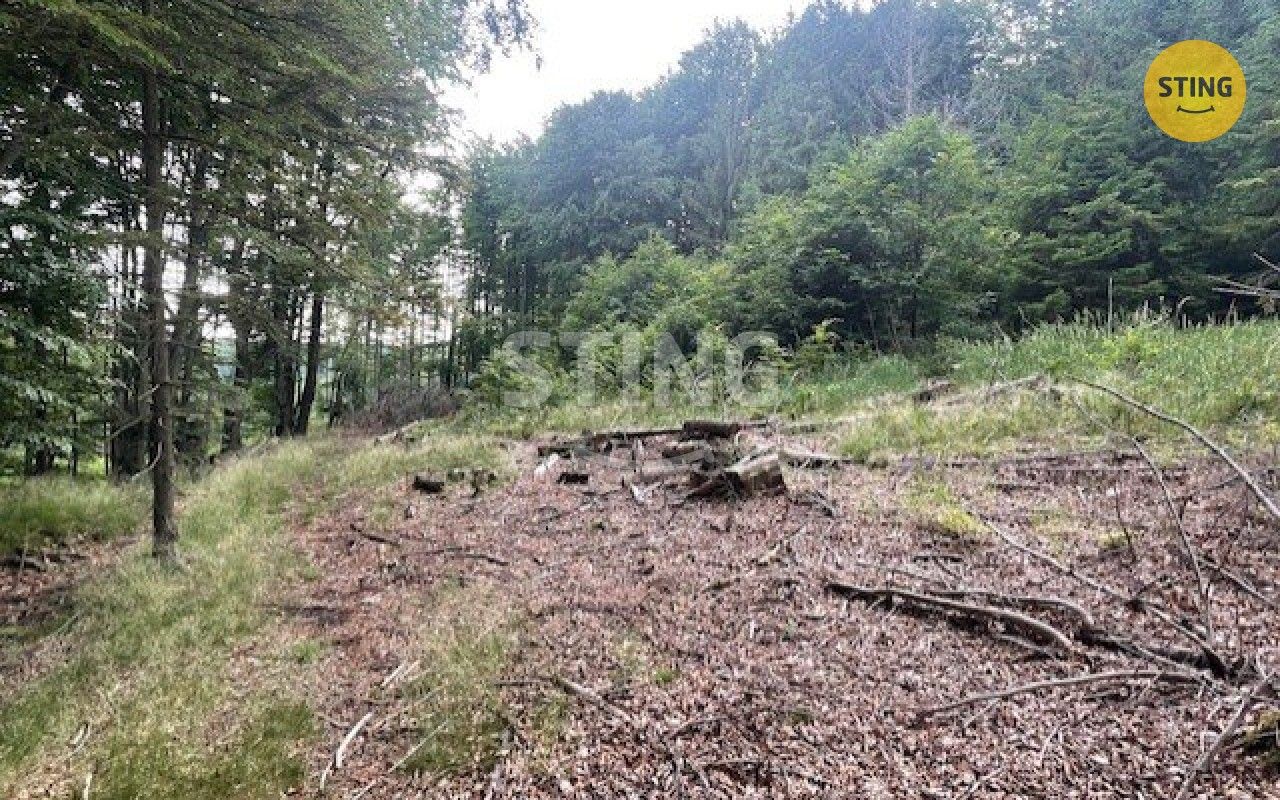 Prodej louka - Košařiska, 6 262 m²