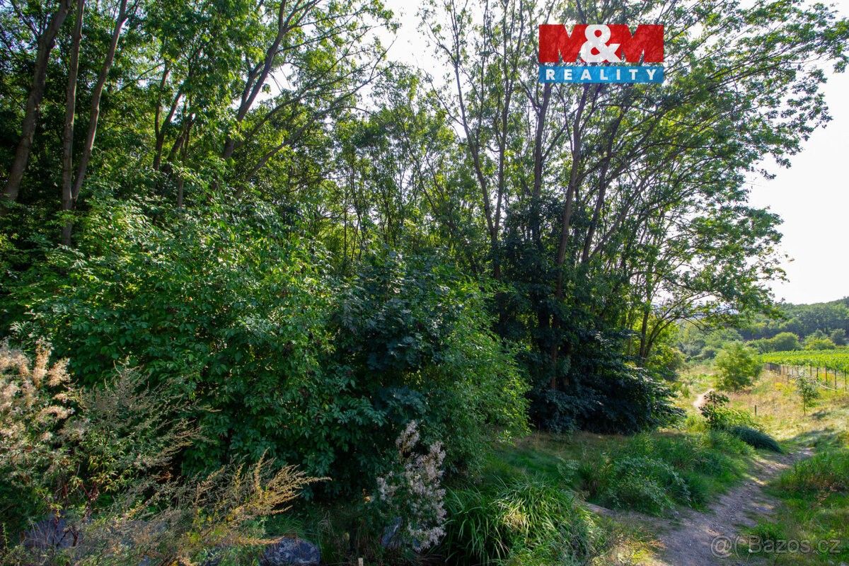 Zahrady, Praha, 119 00