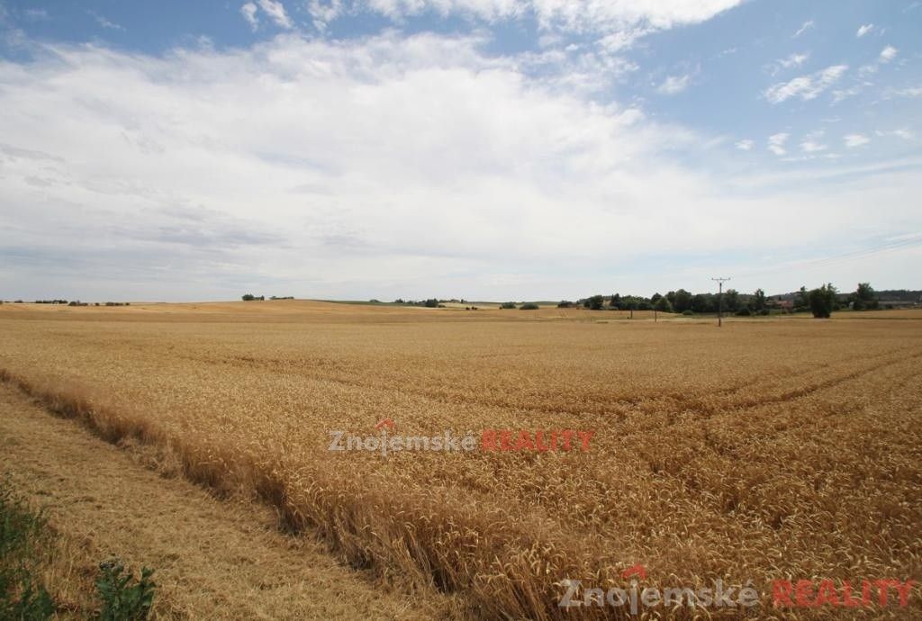 Prodej zemědělský pozemek - Blanné - 5