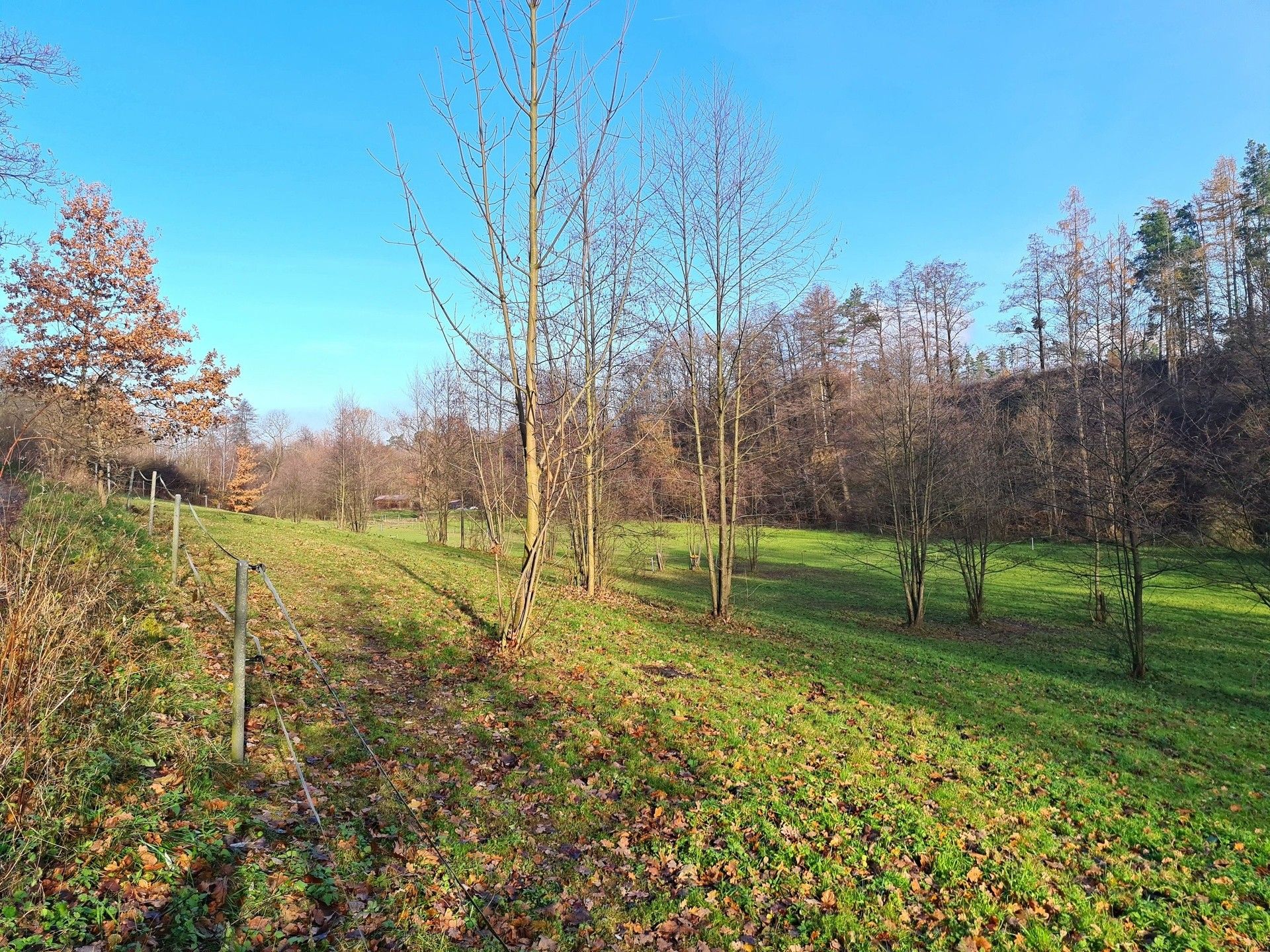 Louky, Klášter, Vilémov