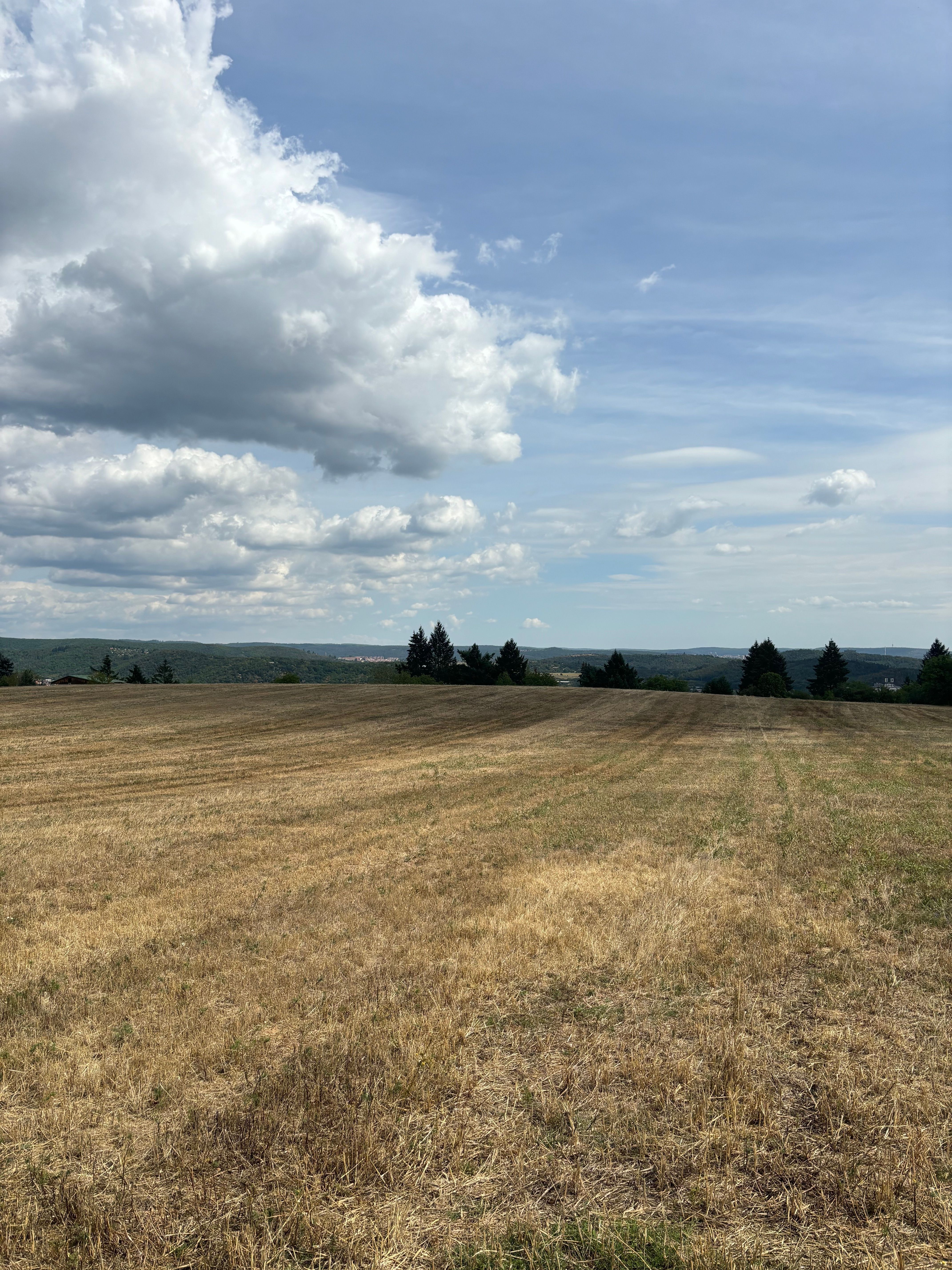 Prodej pozemek pro bydlení - Vejrostova , Brno, 2 440 m² - 5