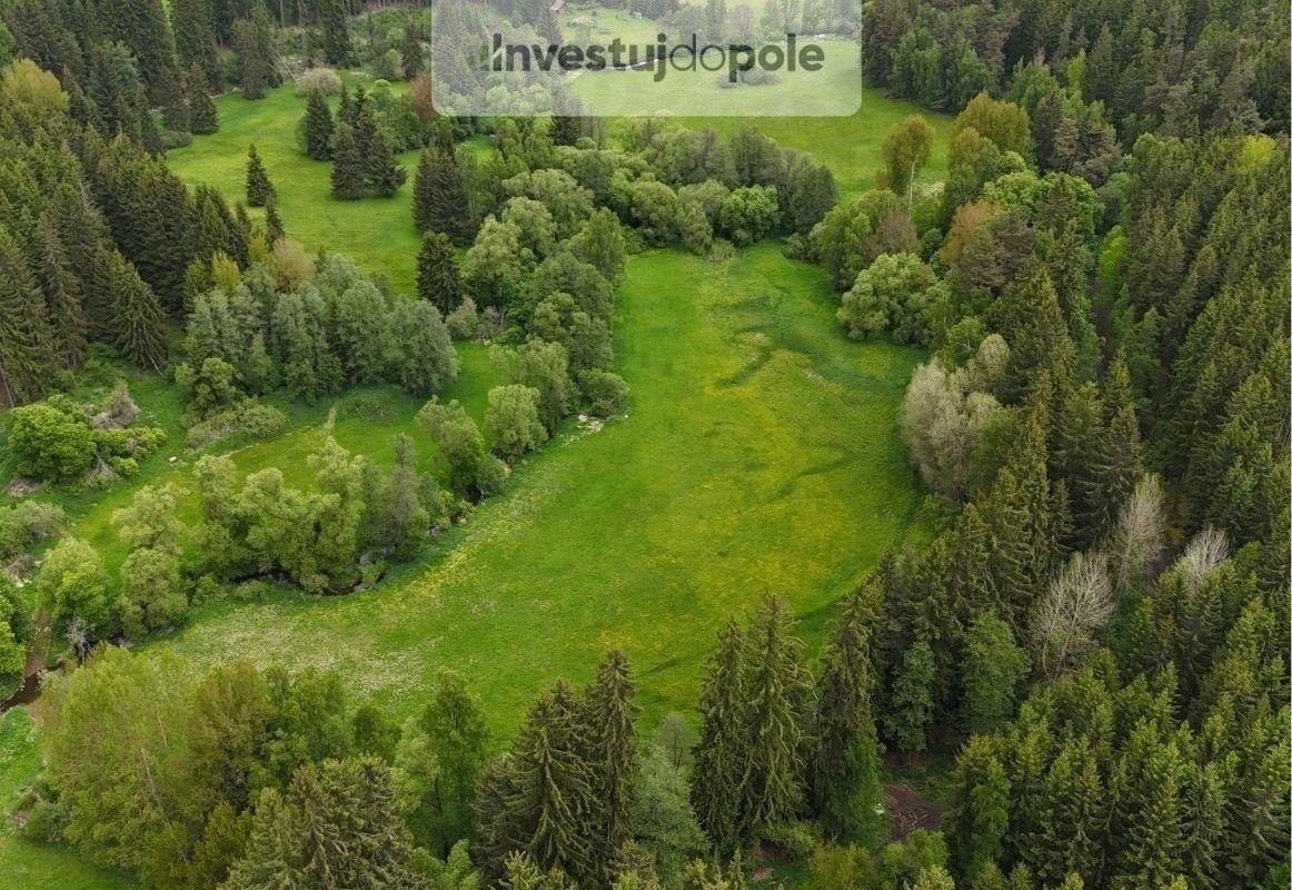 Prodej louka - Útvina, 19 467 m²