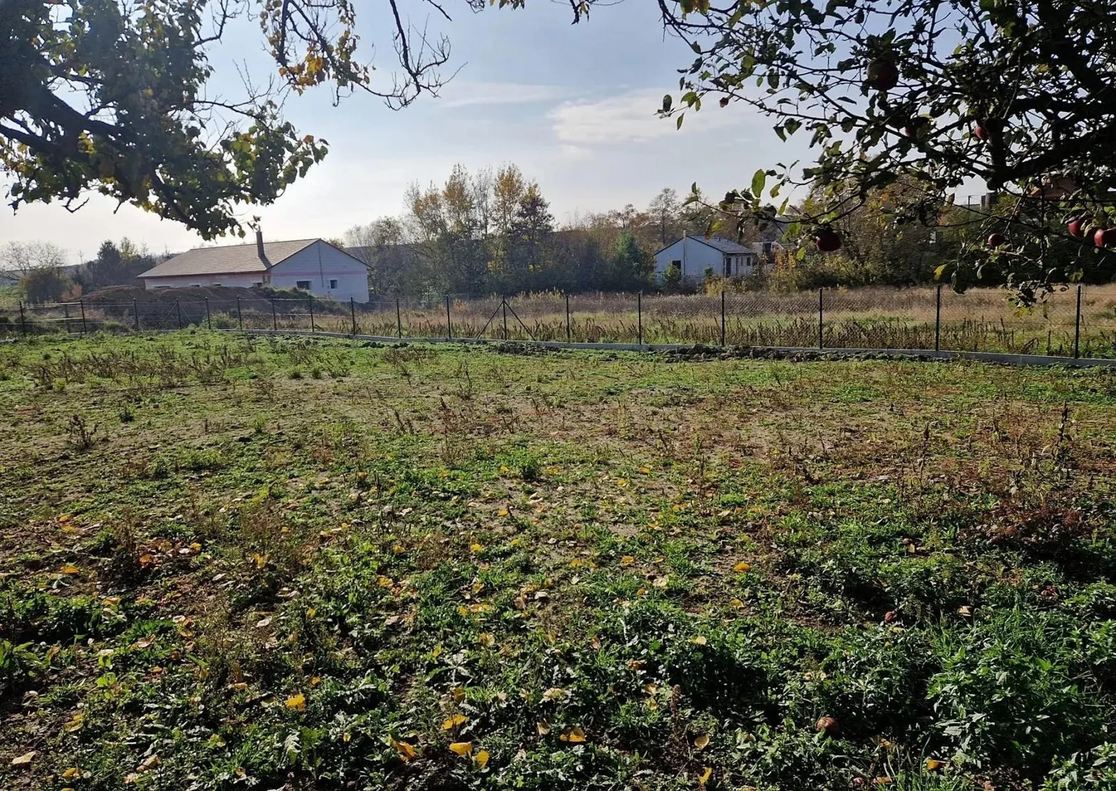 Ostatní