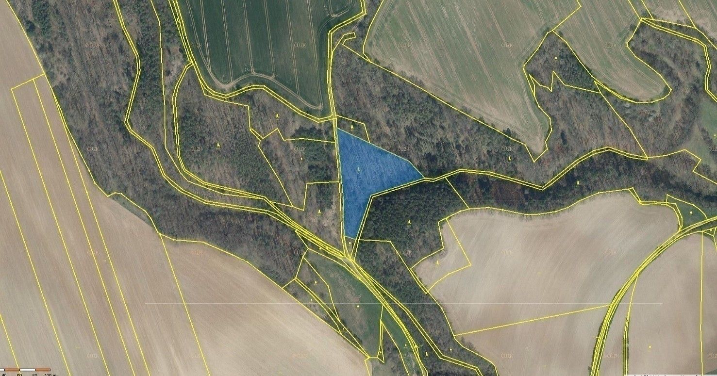 Prodej les - Snědovice, okres Litoměřice, Ústecký kraj - 2