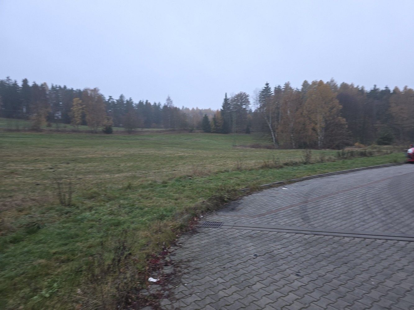 Louka · Nová Role - Mezirolí, okres Karlovy Vary, Karlovarský kraj - 1