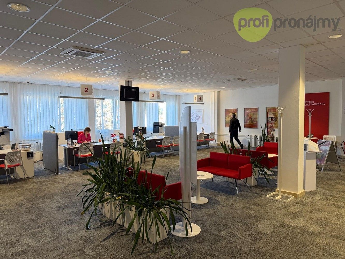 Pronájem obchodní prostory - Šumperk, Olomoucký kraj, 260 m² - 2