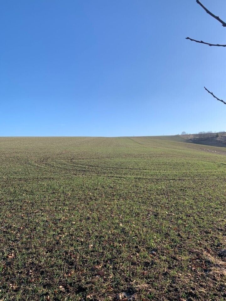 Pozemky pro bydlení, Heršpice, 502 m² - 2