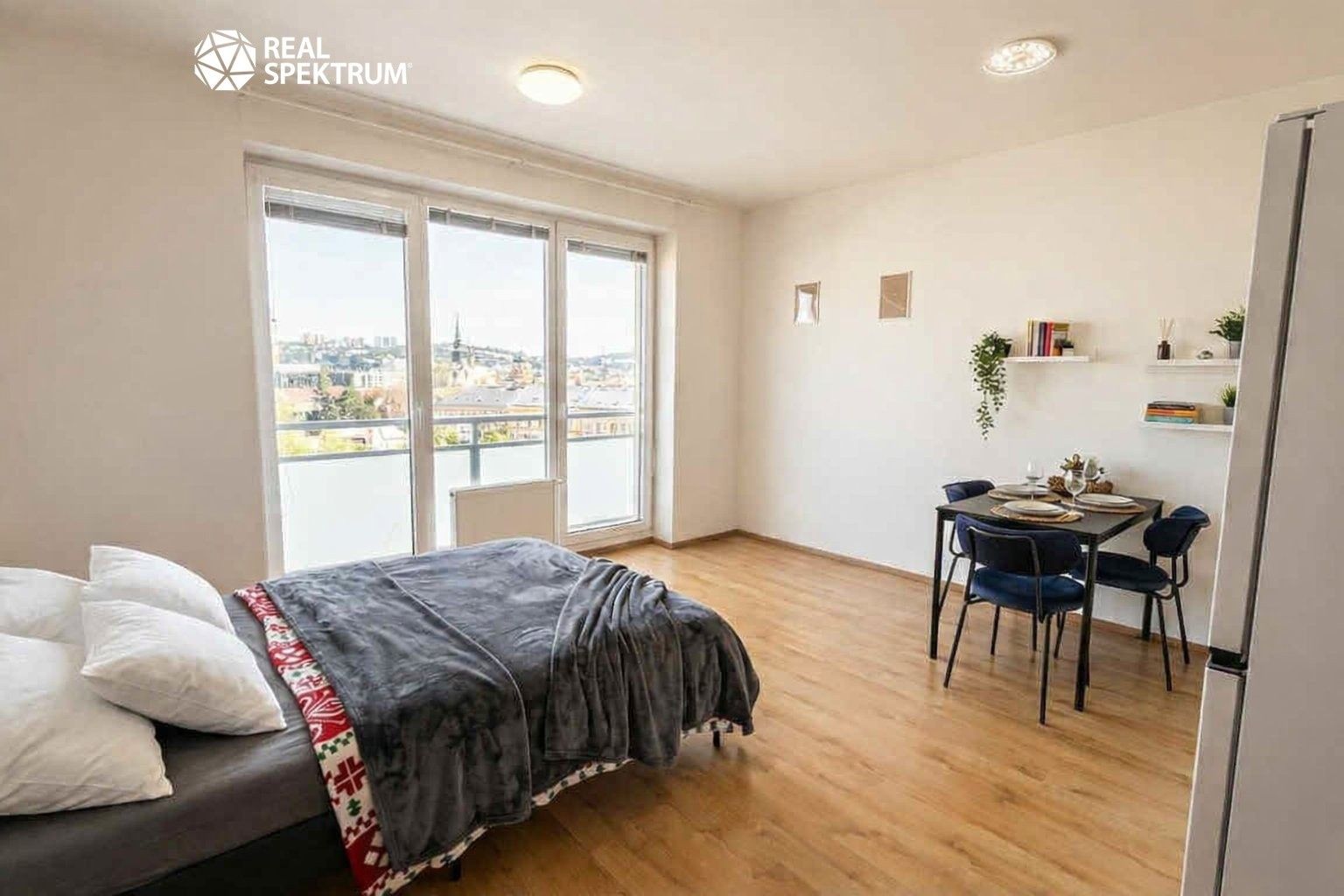 1+kk, Vranovská, Brno, 30 m²