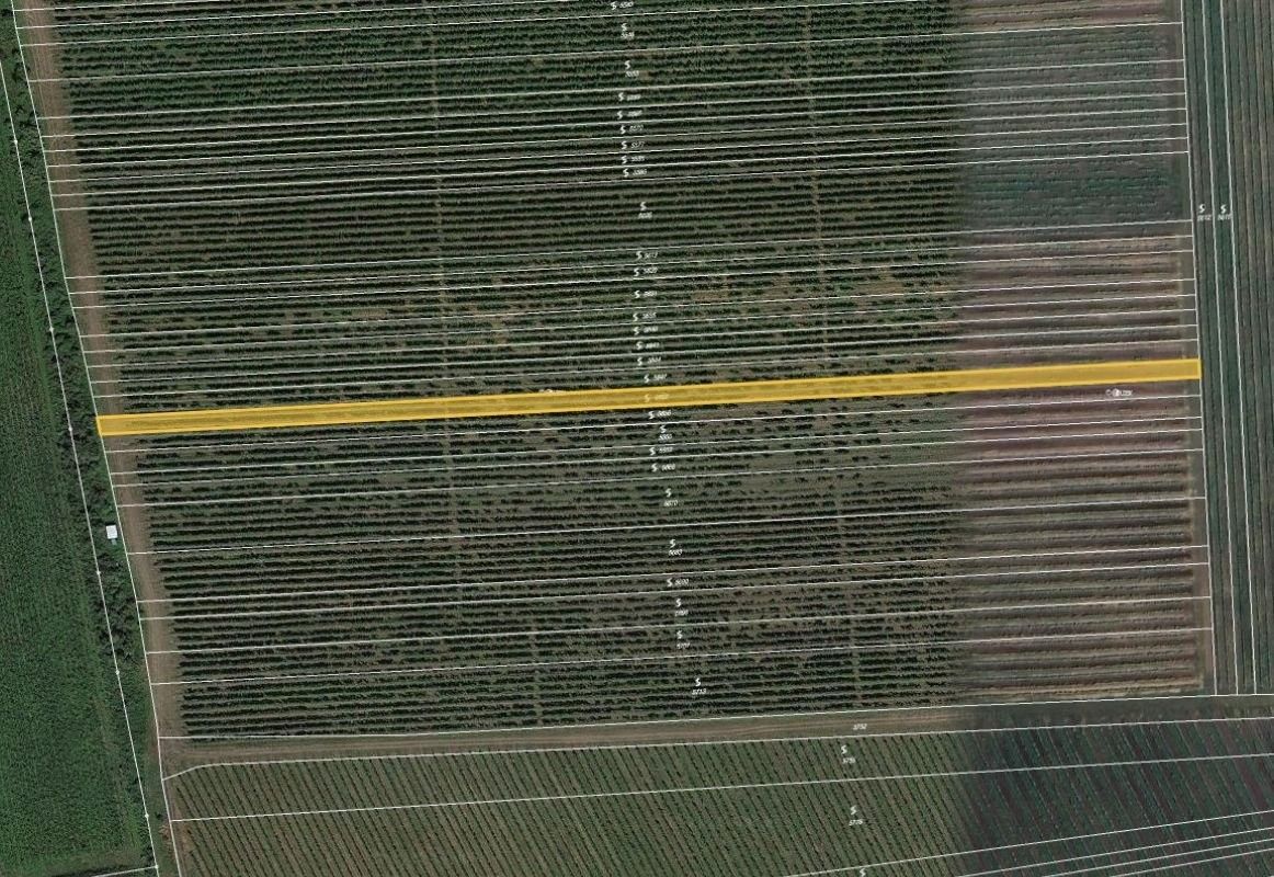 Ostatní, Lipov, 2 376 m²