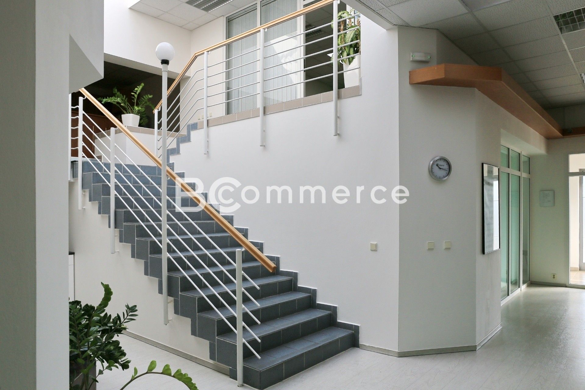 Kancelář · 504 m² · Vídeňská, Brno - 3