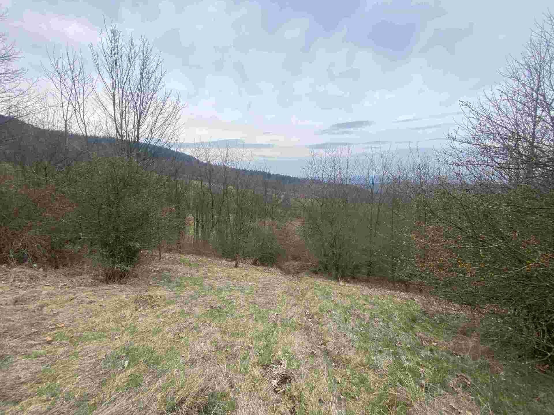 Prodej pozemek - Vesec, Mírová pod Kozákovem, 1 m²