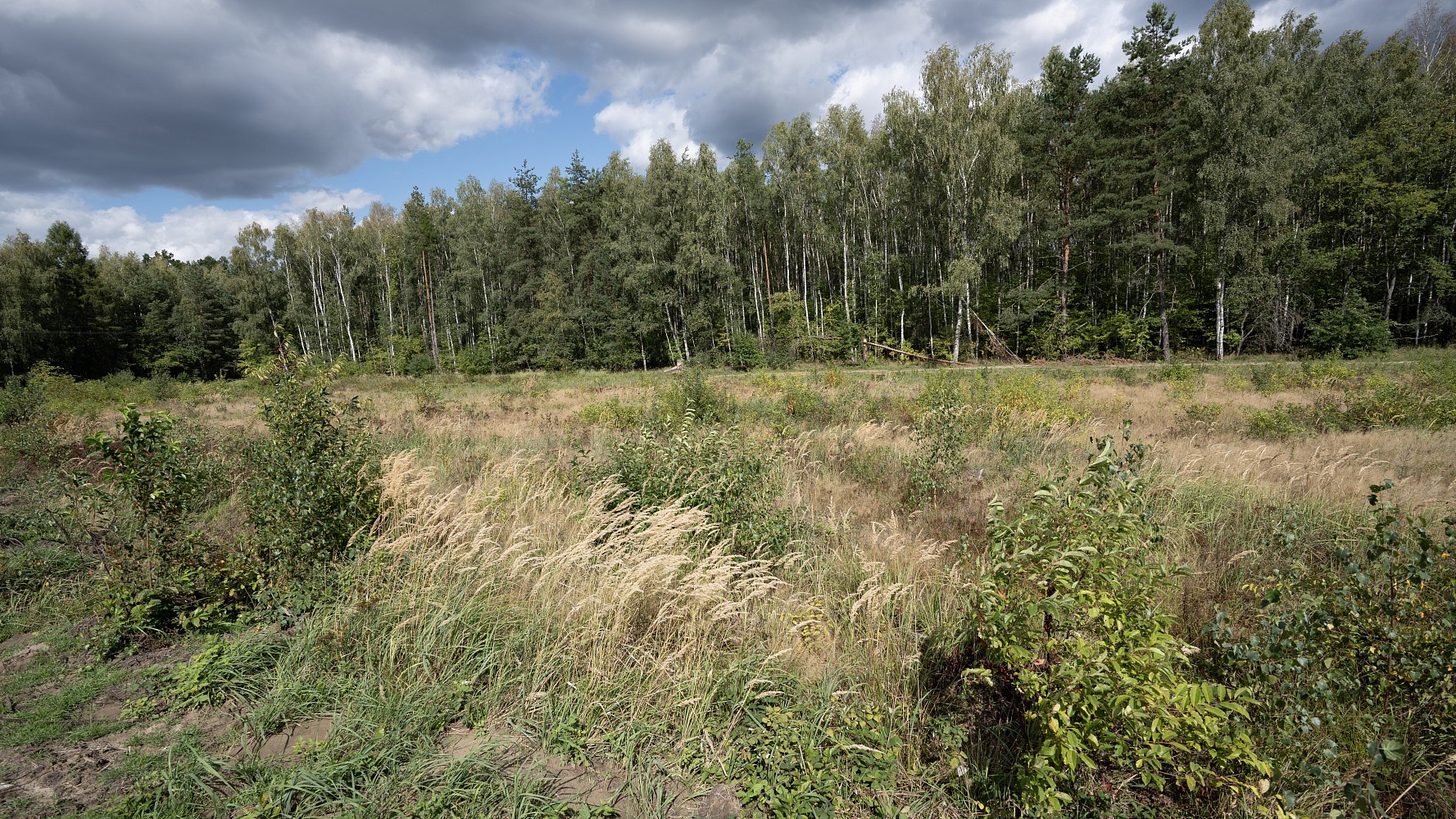 Prodej pozemek pro bydlení - Ralsko - Kuřívody, okres Česká Lípa - 5