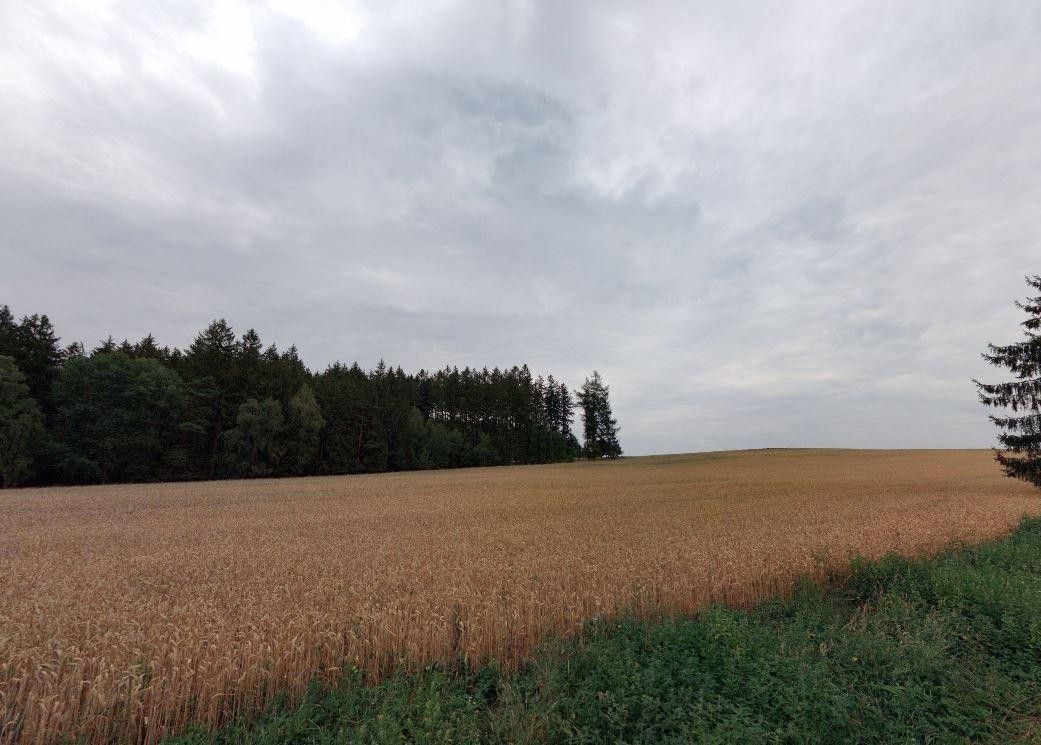 Zemědělský pozemek · 23 308 m² · Třetužel, Červený Újezd - 4