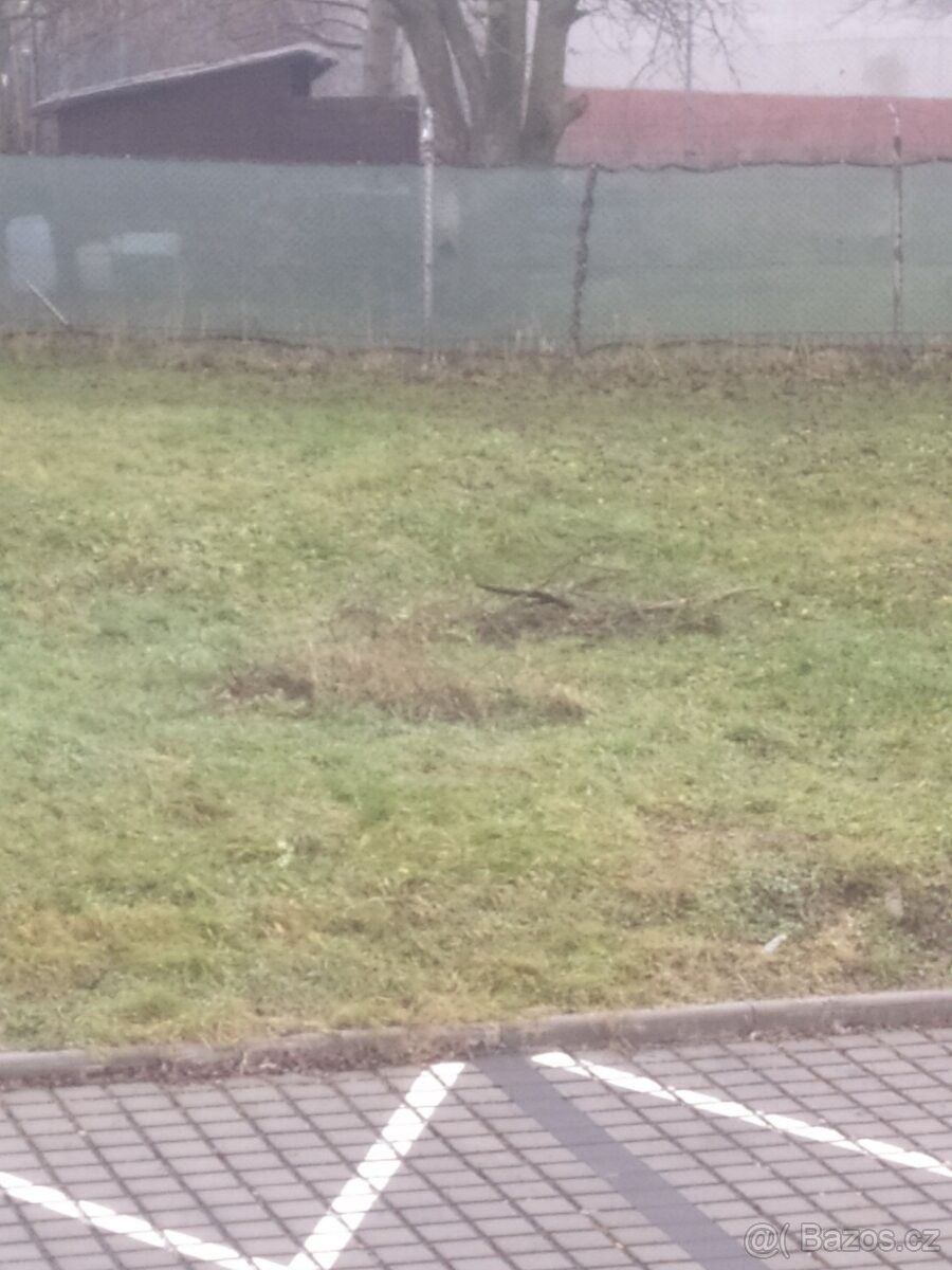 Pronájem zahrada - Ostrava, 710 00