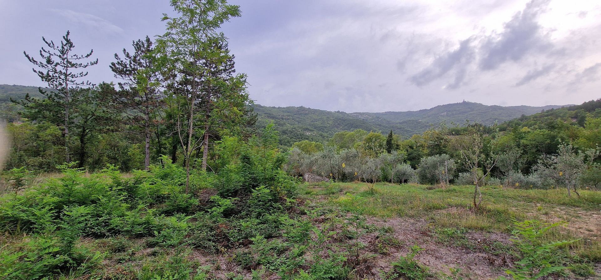 Prodej pozemek pro bydlení - Gračišće, HR - 5