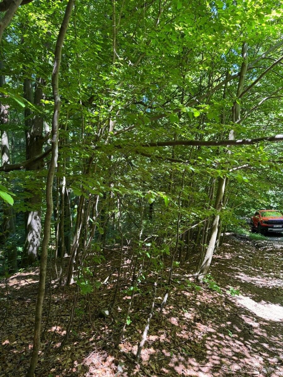 Pozemky pro bydlení, Pražmo, 739 04