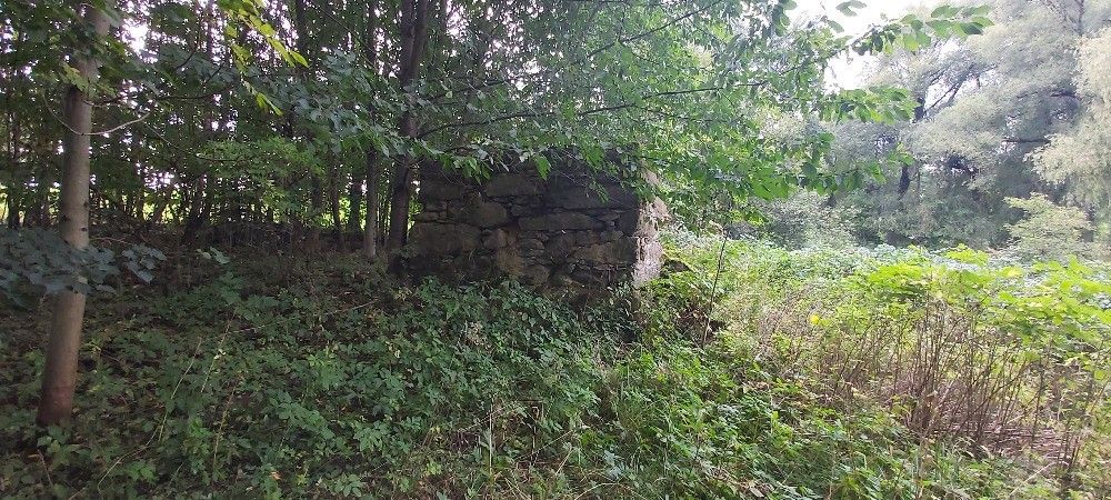 Prodej pozemek pro bydlení - Dolní Poustevna, 407 82