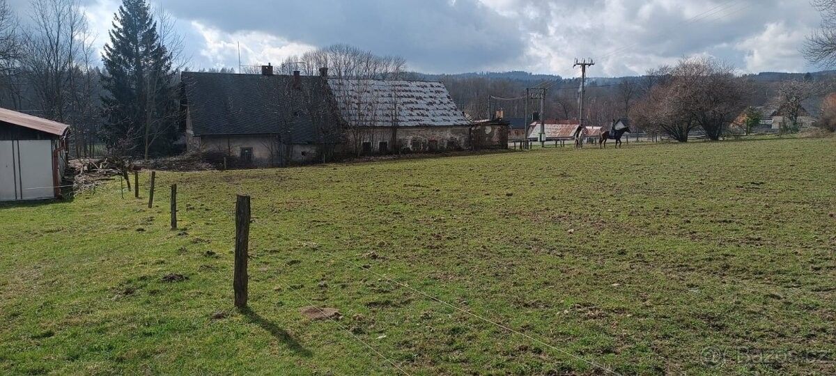 Prodej pozemek - Janovice u Rýmařova, 793 42, 3 744 m²