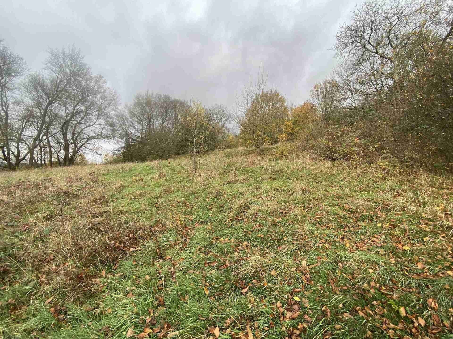 Pozemek · 4 431 m² · Děčín XXVII-Březiny - 4