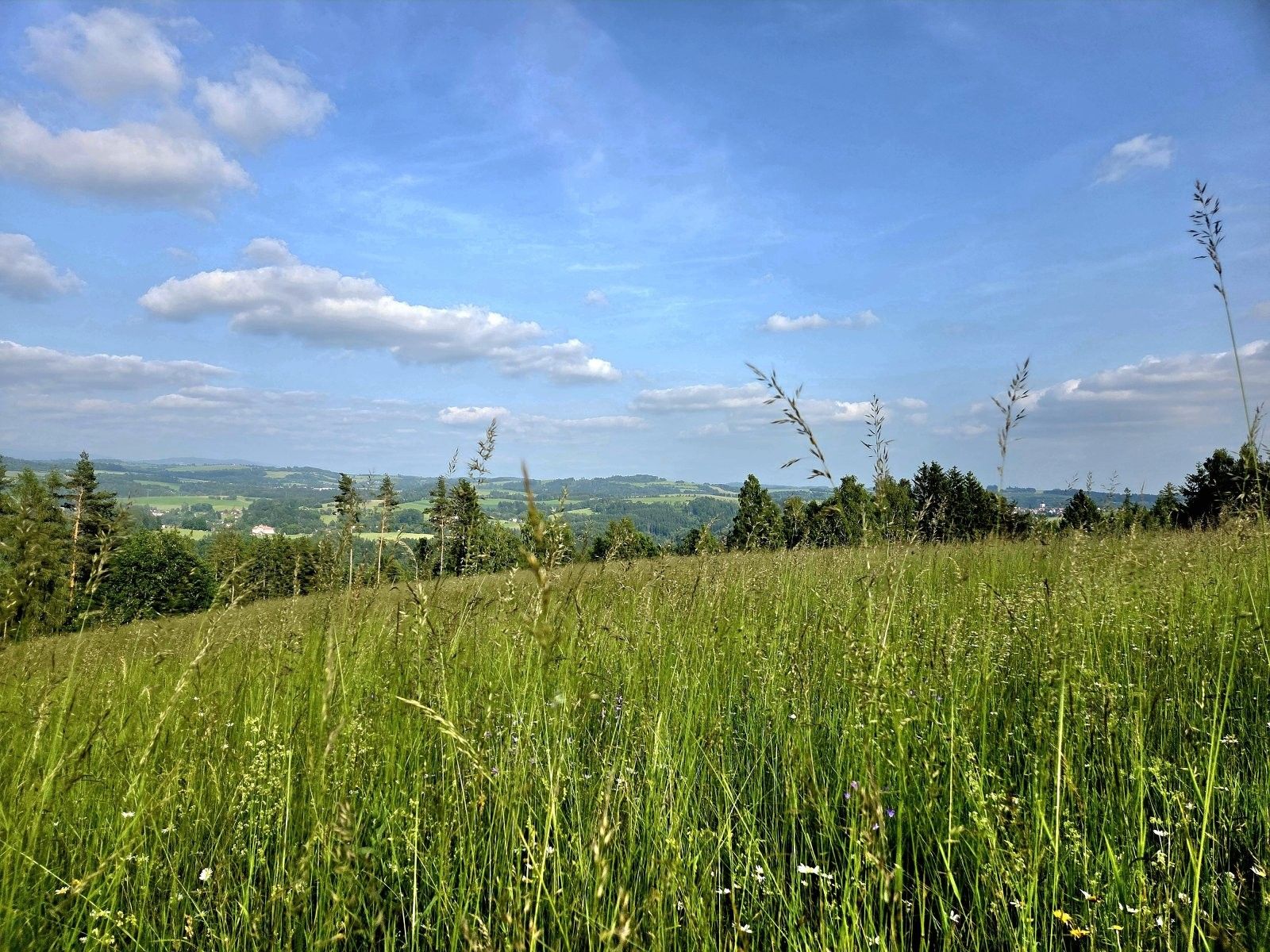Prodej louka - Vlastiboř, 10 451 m² - 5