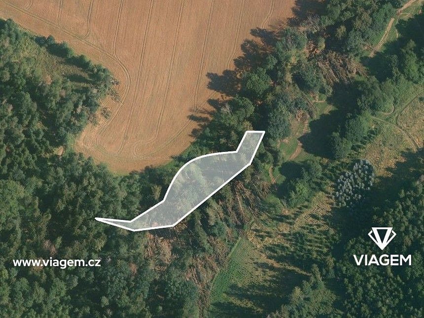 Prodej les - Neveklov, okres Benešov, Středočeský kraj - 2
