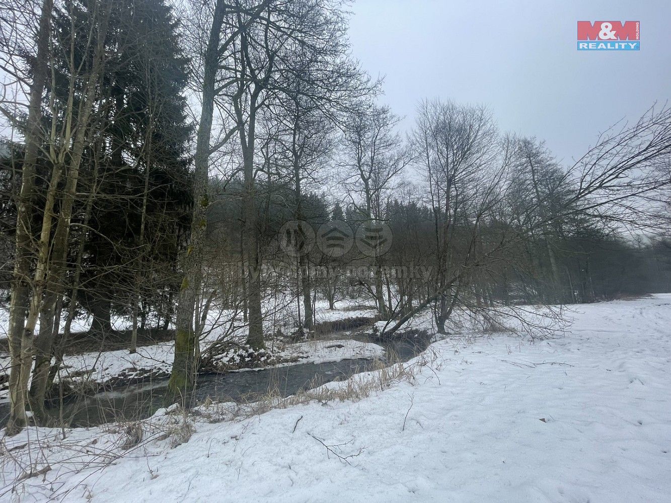 Lesy, Příkrý, okres Semily, Liberecký kraj - 2
