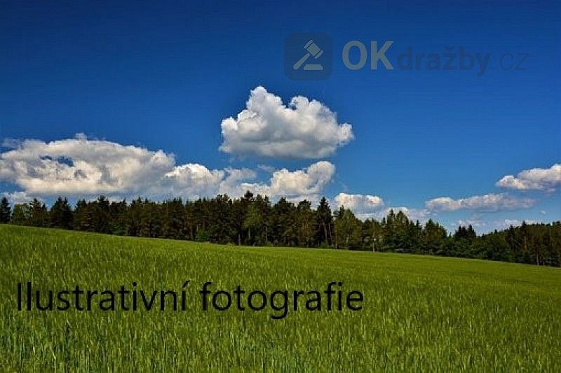 Prodej pozemek - Horní Benešov, okres Bruntál, Moravskoslezský kraj - 1