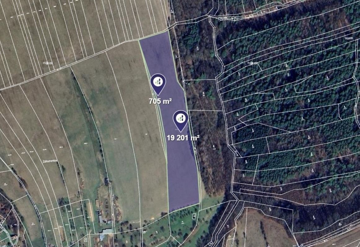 Zemědělský pozemek, 19 906 m²
