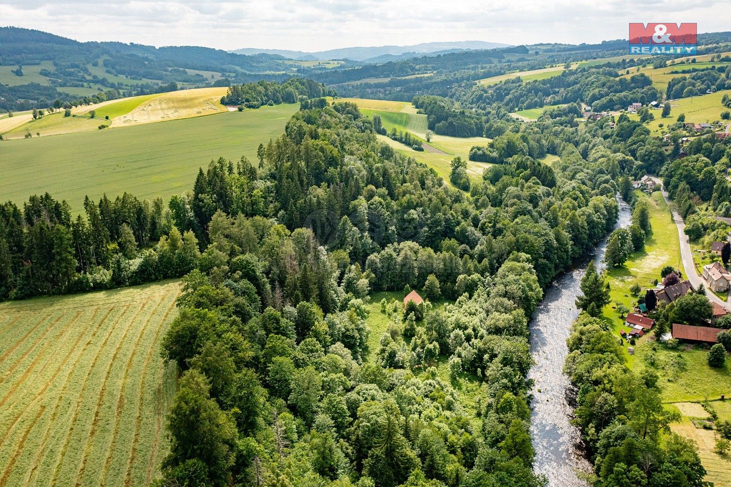 Les · Peřimov, okres Semily, Liberecký kraj - 4