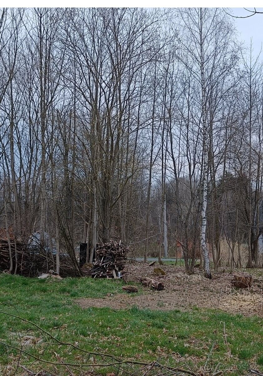 Pozemky pro bydlení, Sokolov, 356 01