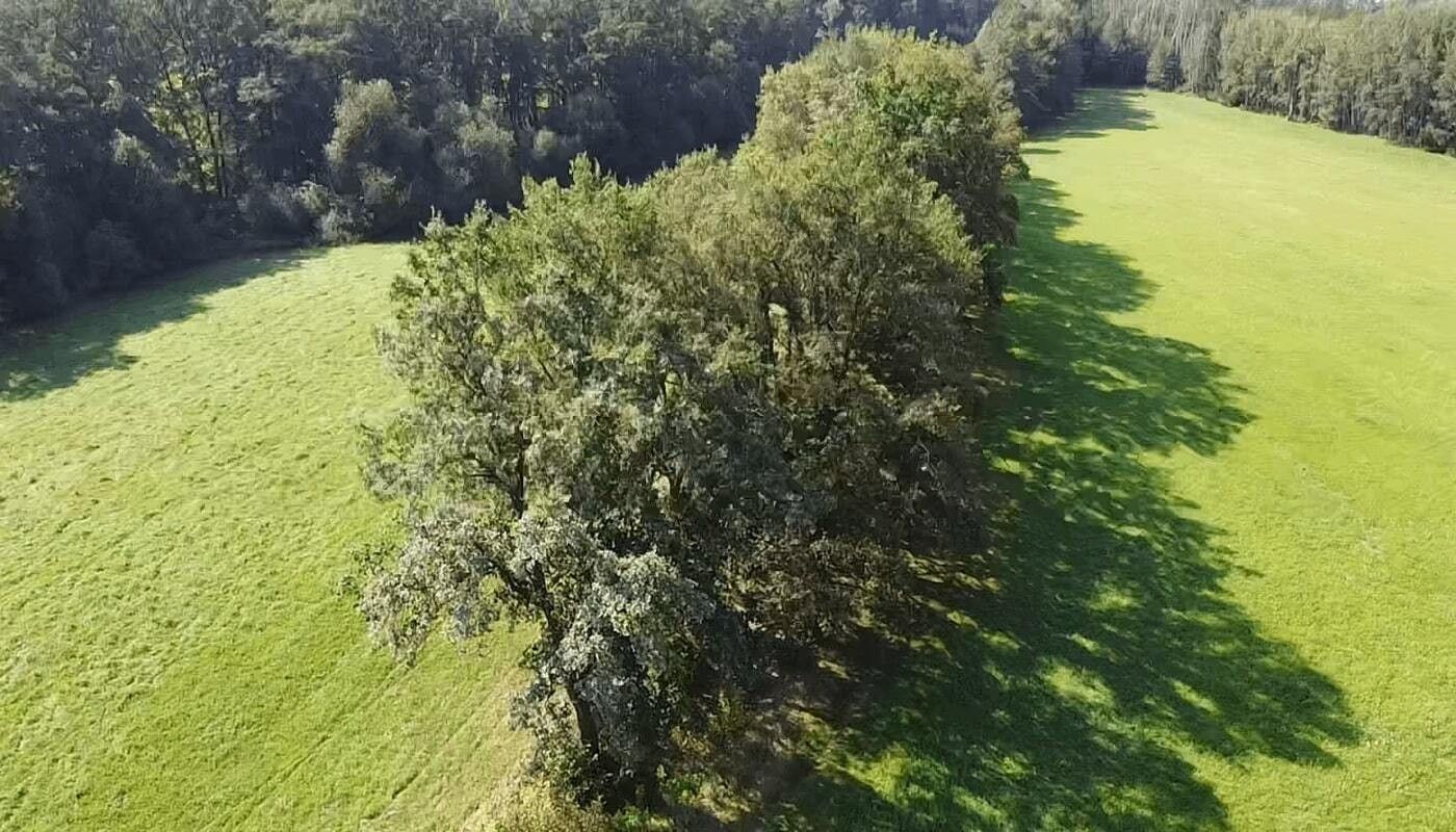 Louky, Nedabyle, 4 m²