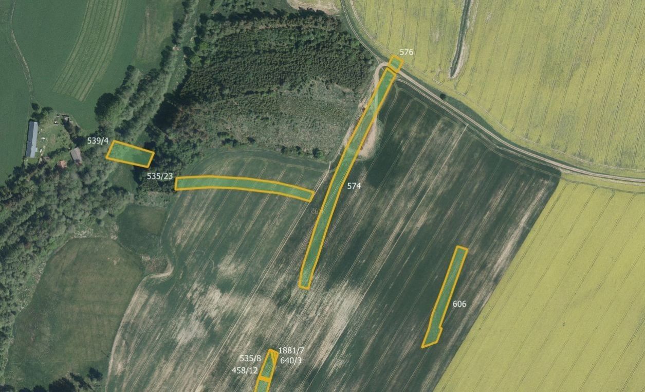 Prodej zemědělský pozemek - Nové Vyklantice, Vyklantice