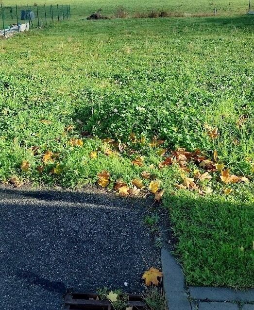 Prodej pozemek pro bydlení - Mladá Boleslav, 293 01