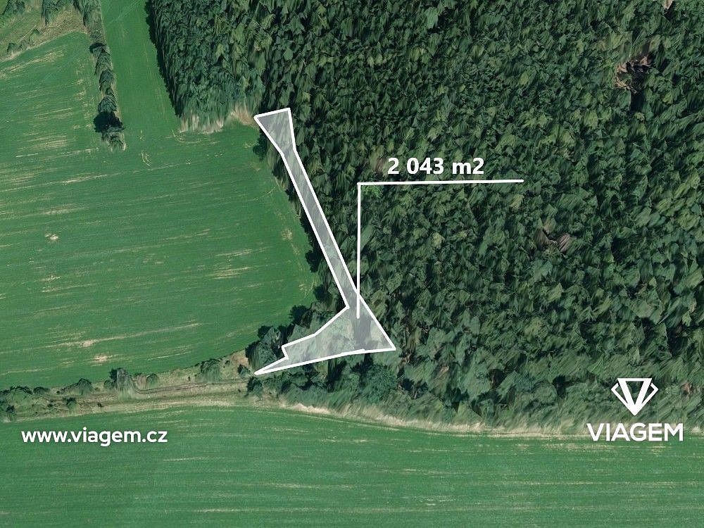 Prodej les - Choustník, okres Tábor, Jihočeský kraj - 1