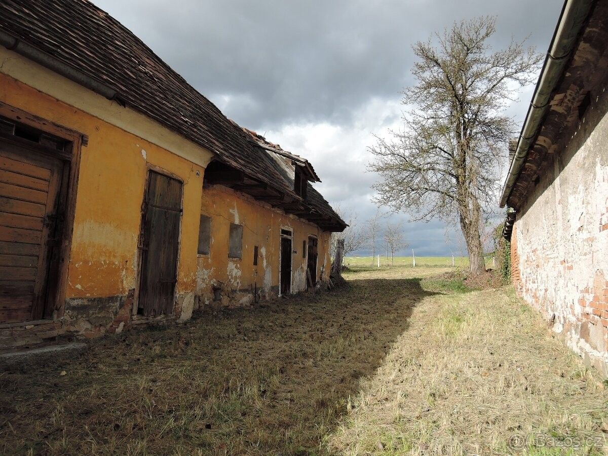 Prodej pozemek pro bydlení - Biřkov, 334 01