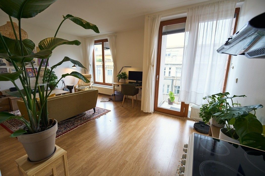 1+kk, Lukášova, Praha - Žižkov, 41 m² - 1