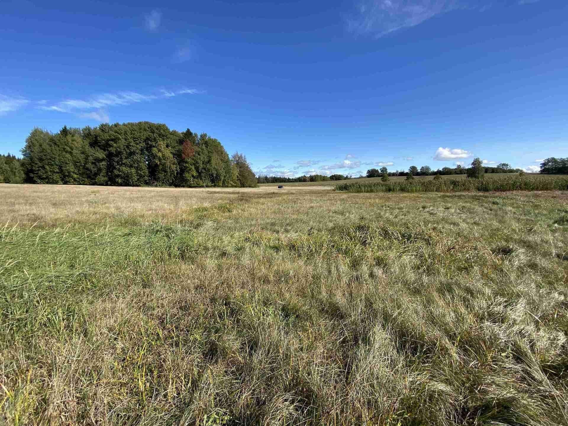 Prodej zemědělský pozemek - Čejkov, Nový Rychnov, 4 m²