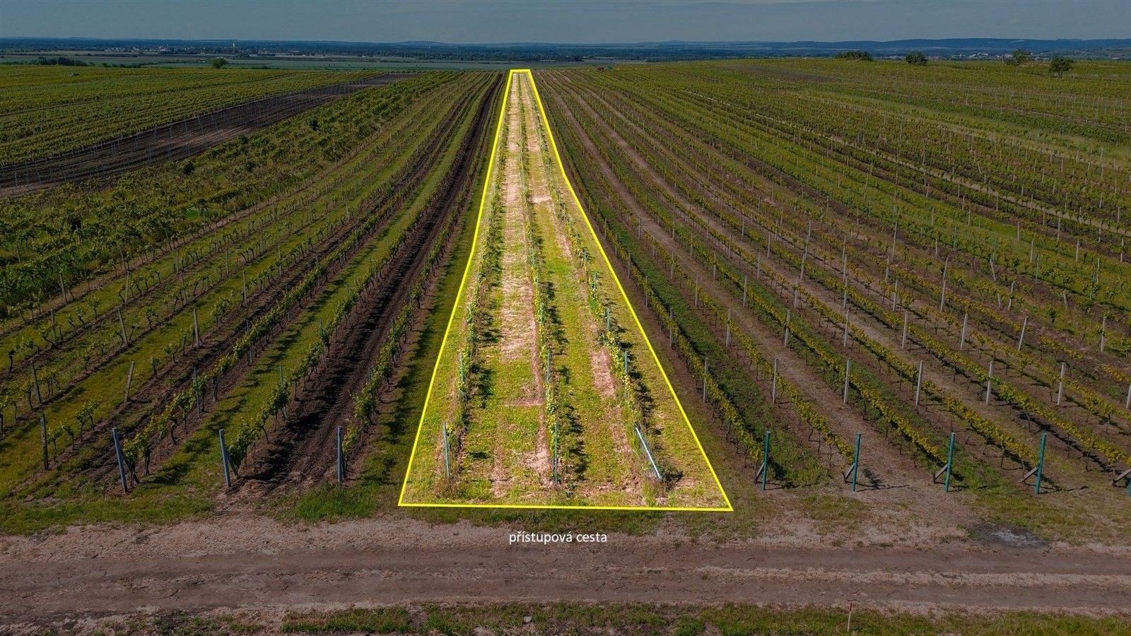 Zemědělské pozemky, Velké Bílovice
