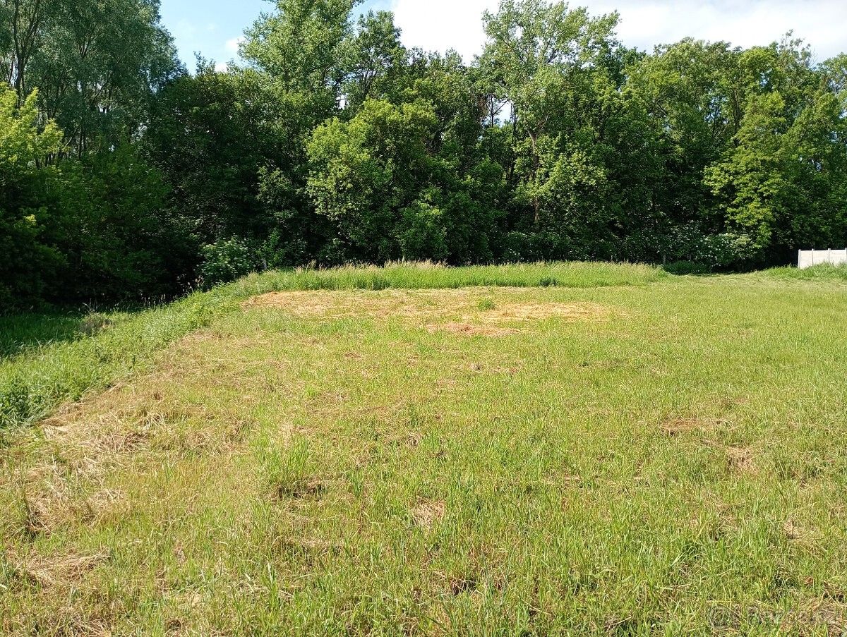 Pronájem zahrada - Drnholec, 691 83