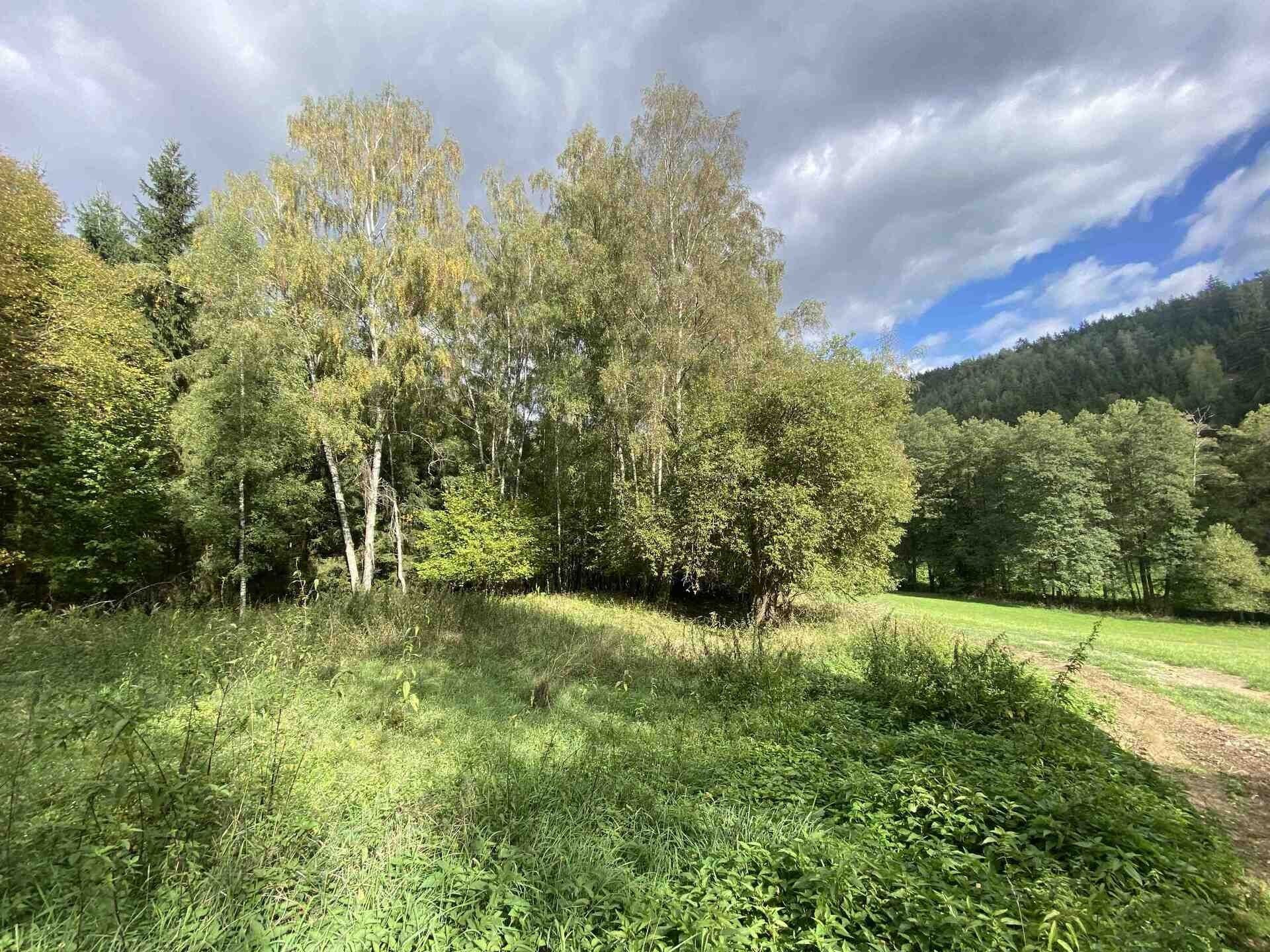 Ostatní, Krsy Polínka, 306 m² - 2