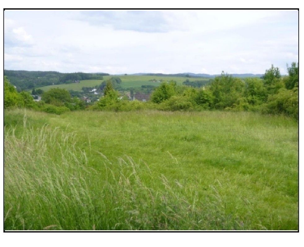 Prodej pozemek pro bydlení - Slušovice, 763 15