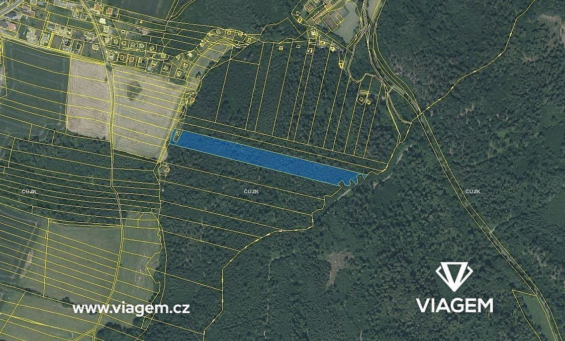 Les · Opava, Moravskoslezský kraj - 3