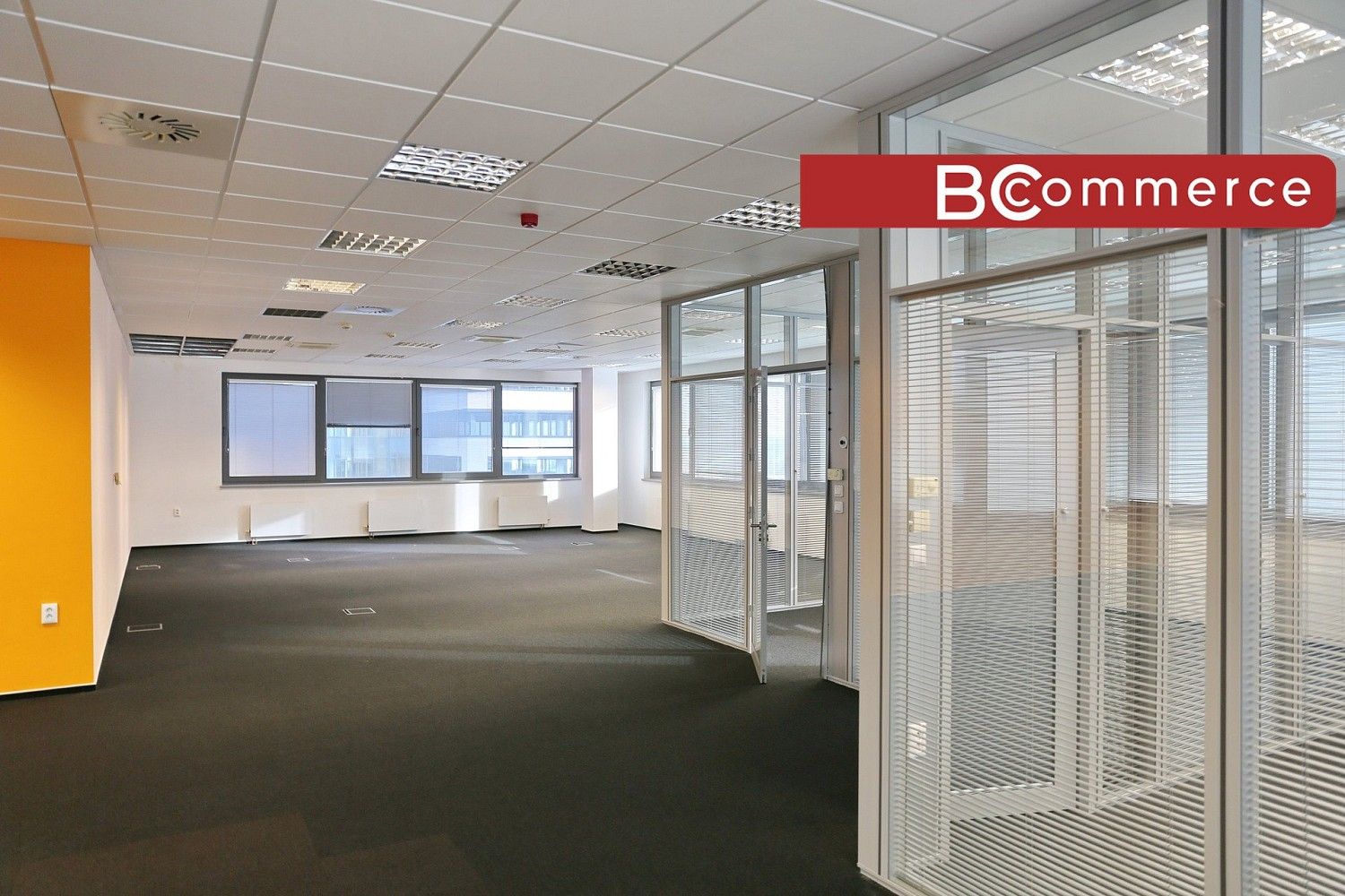Kanceláře, Brno - Štýřice, okres Brno-město, Jihomoravský kraj, 300 m² - 1