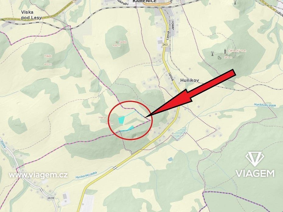 Les · Veselé, okres Děčín, Ústecký kraj - 4