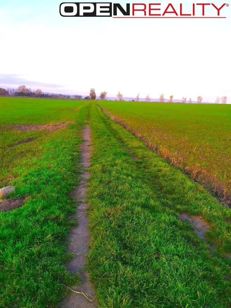 Ostatní
